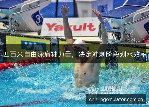 四百米自由泳肩袖力量，决定冲刺阶段划水效率
